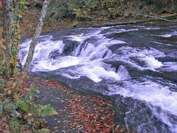 b0348195_855269.jpg