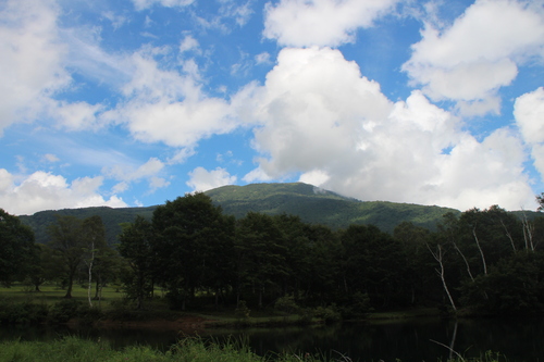 e0334696_1411499.jpg