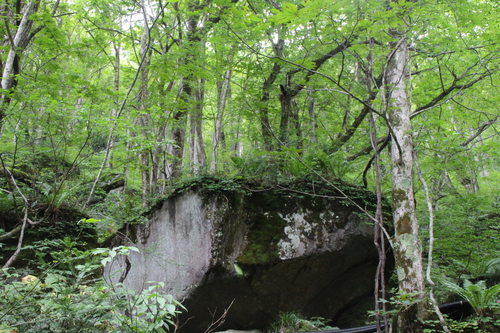 e0334696_1433154.jpg