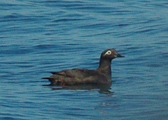 b0028598_18503512.jpg