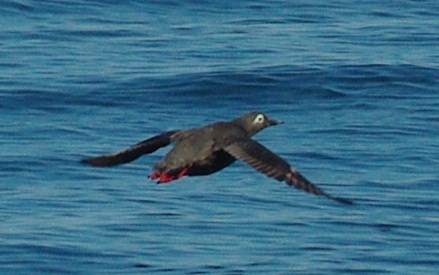 b0028598_18512323.jpg