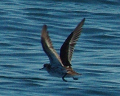 b0028598_1853633.jpg