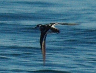 b0028598_185422.jpg