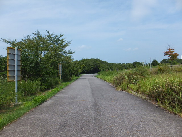 a0271502_10311821.jpg