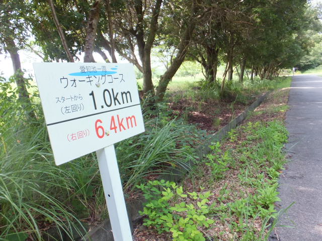 a0271502_10334973.jpg