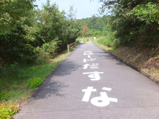 a0271502_1035180.jpg