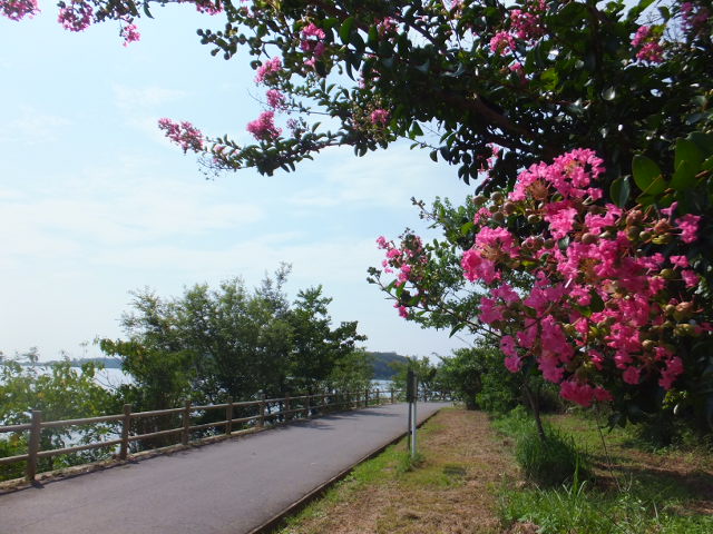 a0271502_10404887.jpg