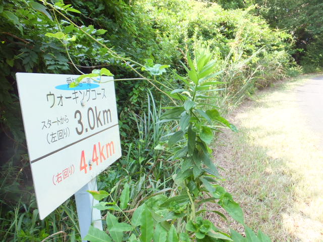 a0271502_10435572.jpg