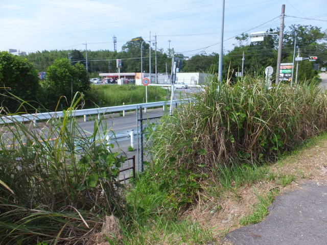 a0271502_1048862.jpg