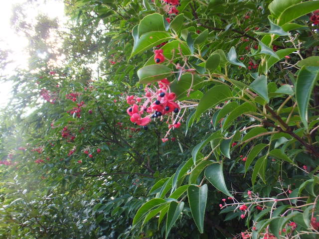 a0271502_1103134.jpg