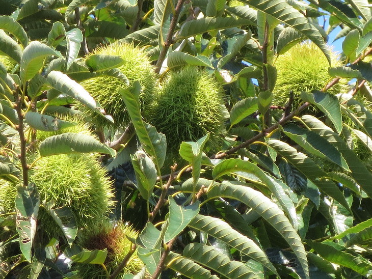 e0271803_2133393.jpg