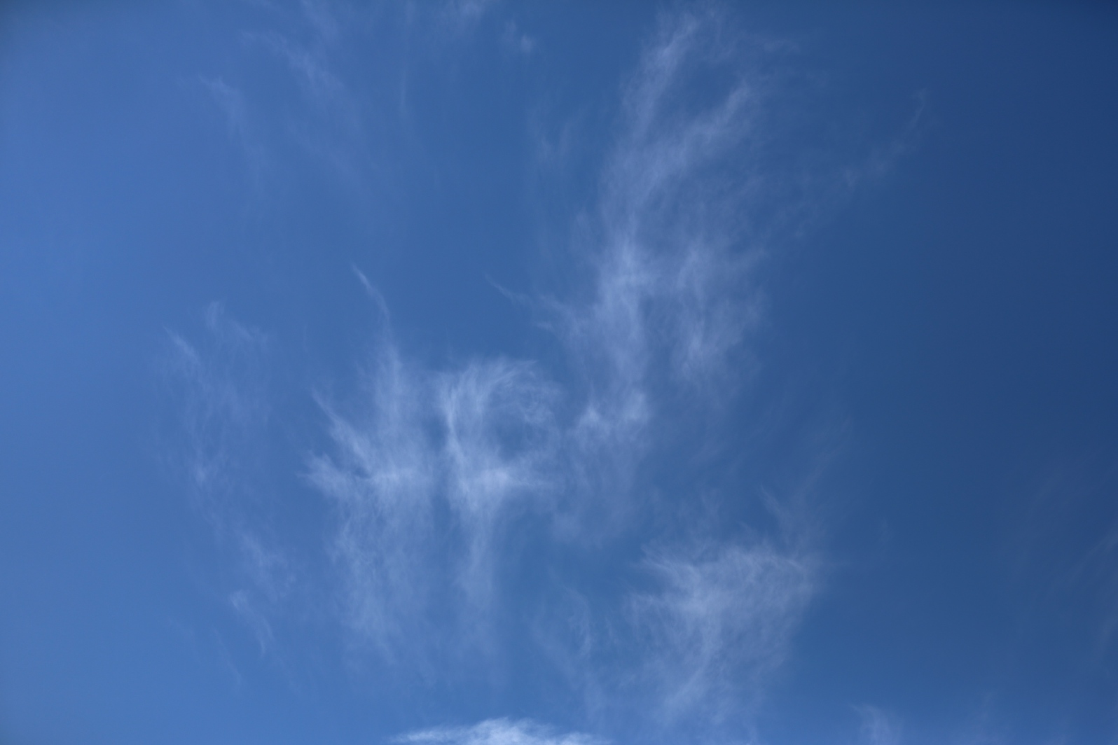 a0155104_8342245.jpg