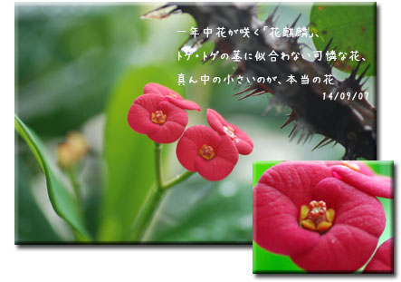 日々の事_c0051105_2357886.jpg