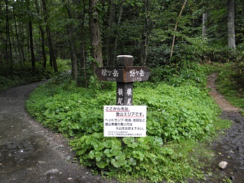 d0032405_22145399.jpg