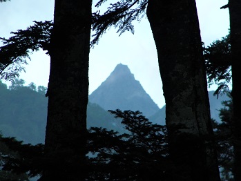 d0032405_2220514.jpg
