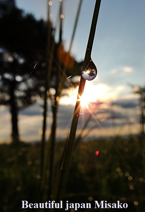 c0067206_17334780.jpg