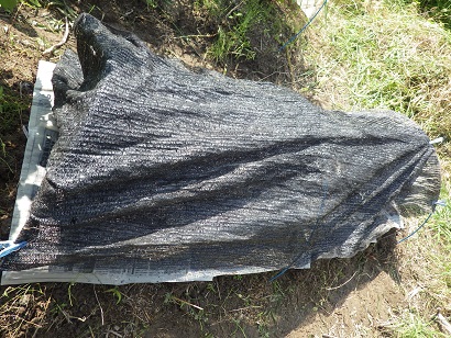 c0280206_11331734.jpg