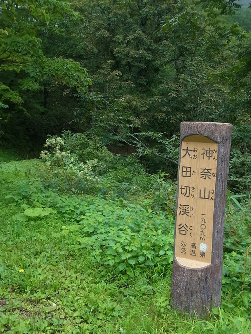 e0243008_8465796.jpg