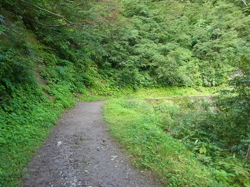 e0243008_8481261.jpg