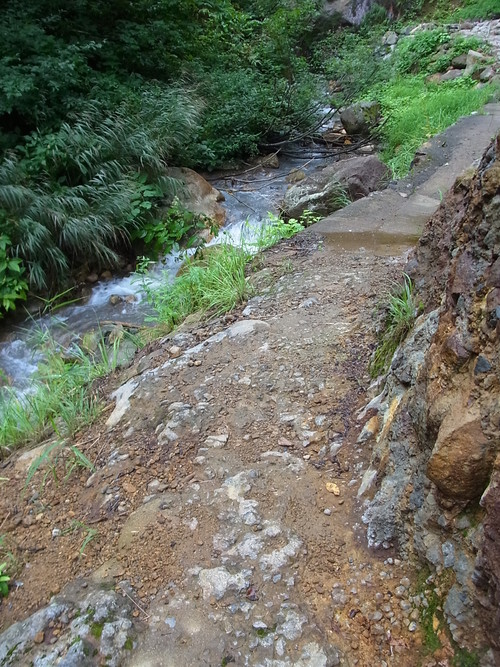 e0243008_8512812.jpg