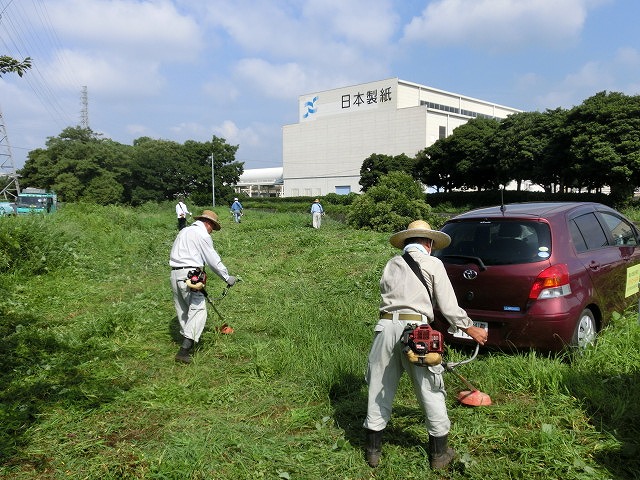 彼岸花が顔を出し始めています 酷暑の中の「滝川の土手普請」_f0141310_653471.jpg