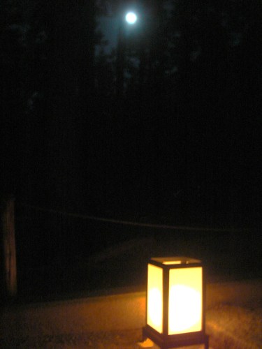 f0276510_23422388.jpg