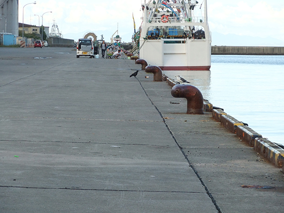 a0155319_20222774.jpg