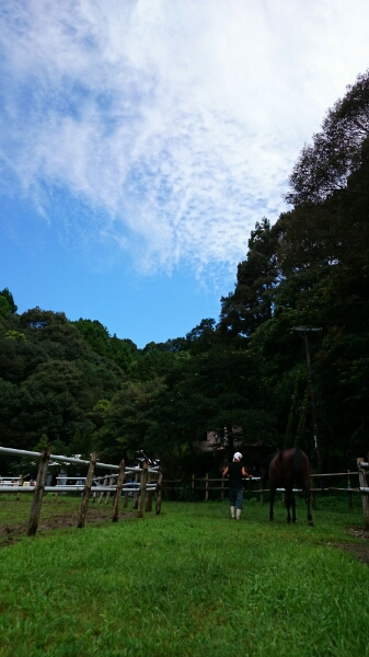 b0187620_2253262.jpg