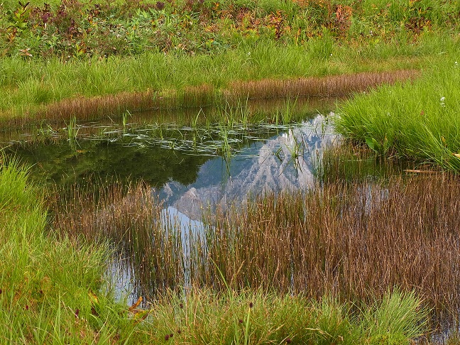 c0225927_1213177.jpg