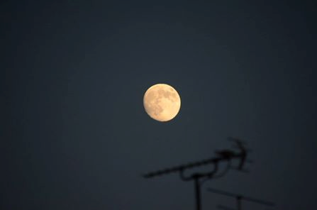c0124528_10522048.png