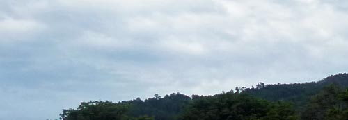 b0063436_9482159.jpg