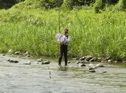 a0056140_11403066.gif