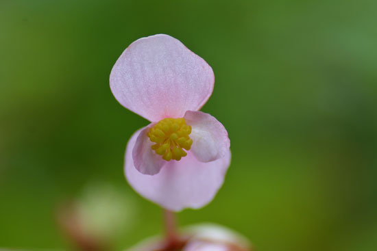c0093046_864579.jpg