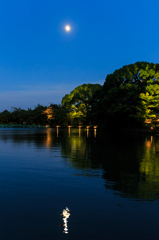 観月の夕べ（大覚寺）_f0155048_21494258.jpg