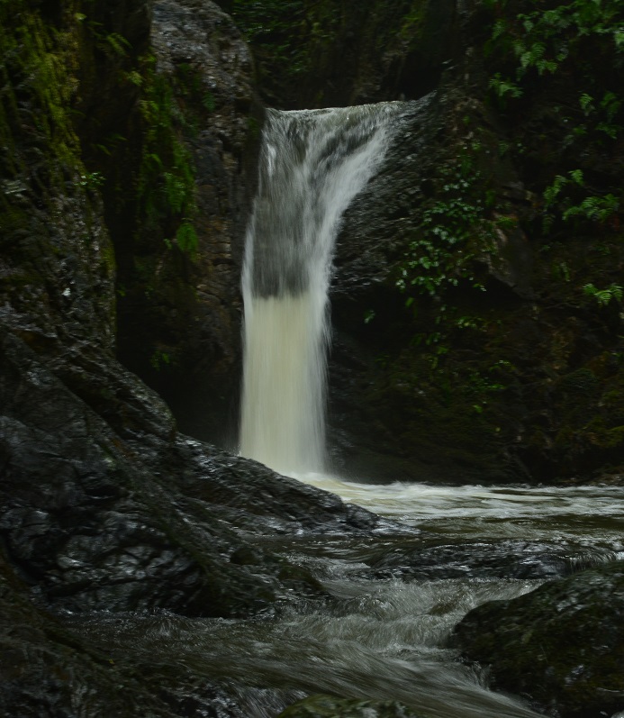 a0055650_2010434.jpg