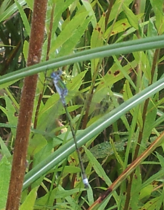 b0214652_09314854.jpg