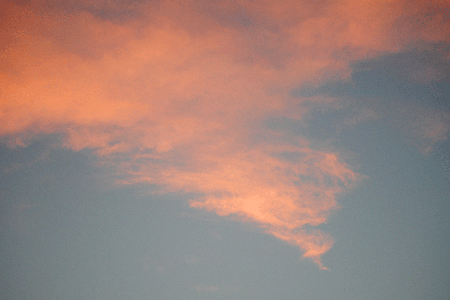 a0001354_2216120.gif