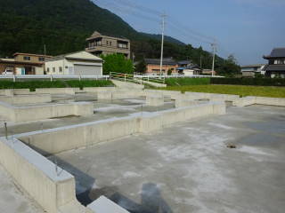 c0177059_81812.jpg