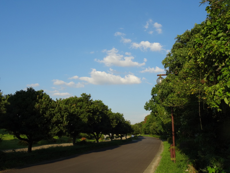 c0108460_22571742.jpg