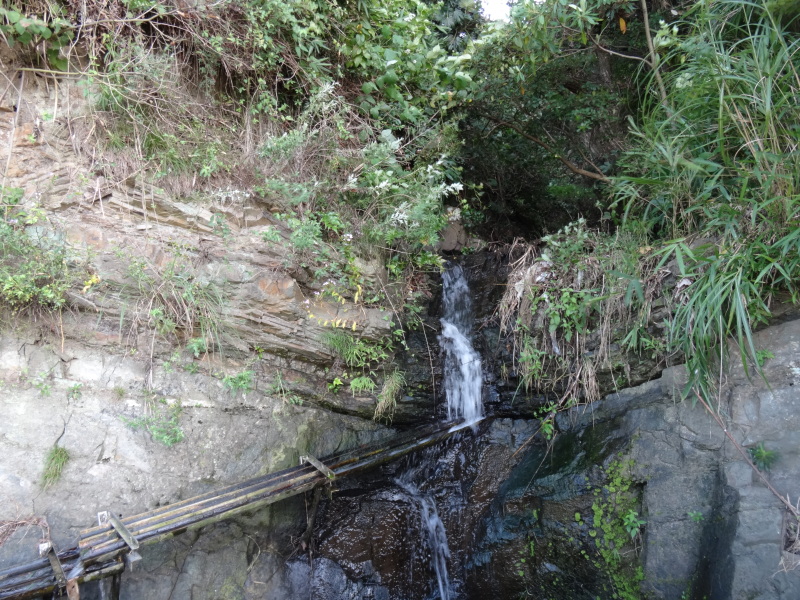 c0108460_22572133.jpg