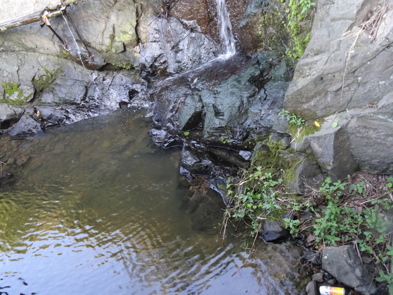 c0108460_22572291.jpg