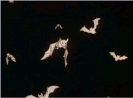 c0119160_22354977.gif