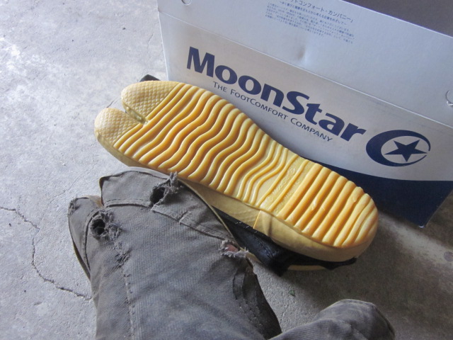 e0181260_20223812.jpg