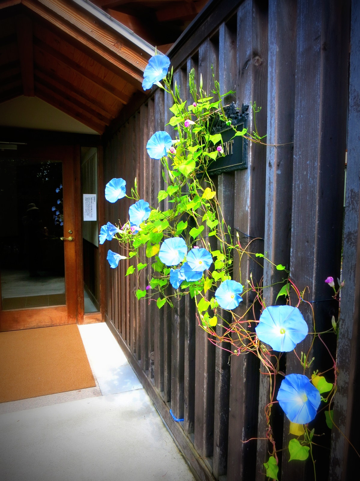 f0236260_222338.jpg