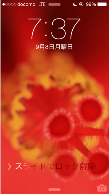 a0267766_1033115.png