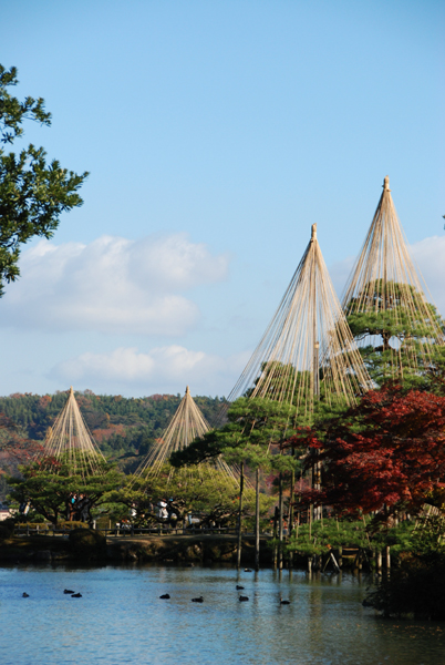 兼六園紅葉写真_e0171573_0222075.jpg