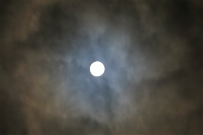f0182173_23535634.jpg