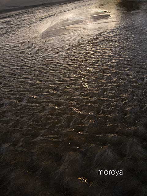 夕景_c0085877_06422509.jpg