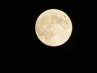 e0046477_20312077.jpg