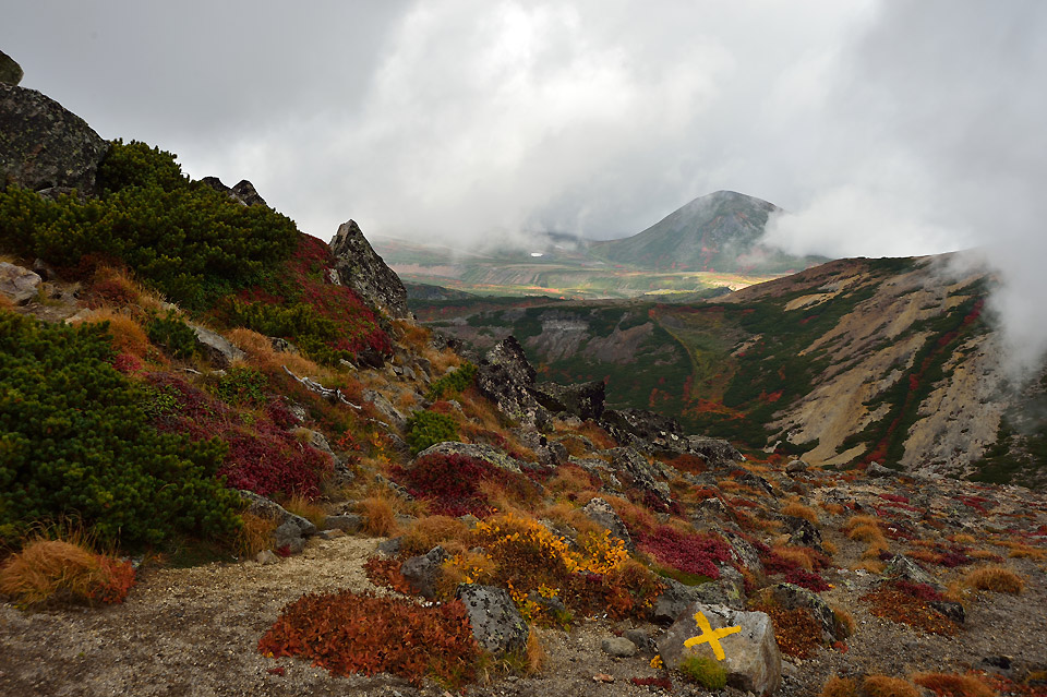 f0109977_14470761.jpg